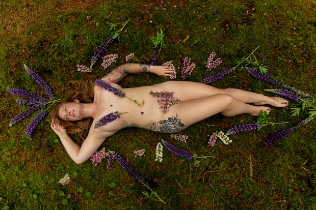 lazing in the lupins artistic nude photo by photographer korry hill