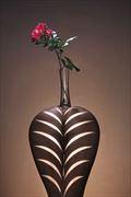 le fleur sur le vass sensual photo by photographer dario infini