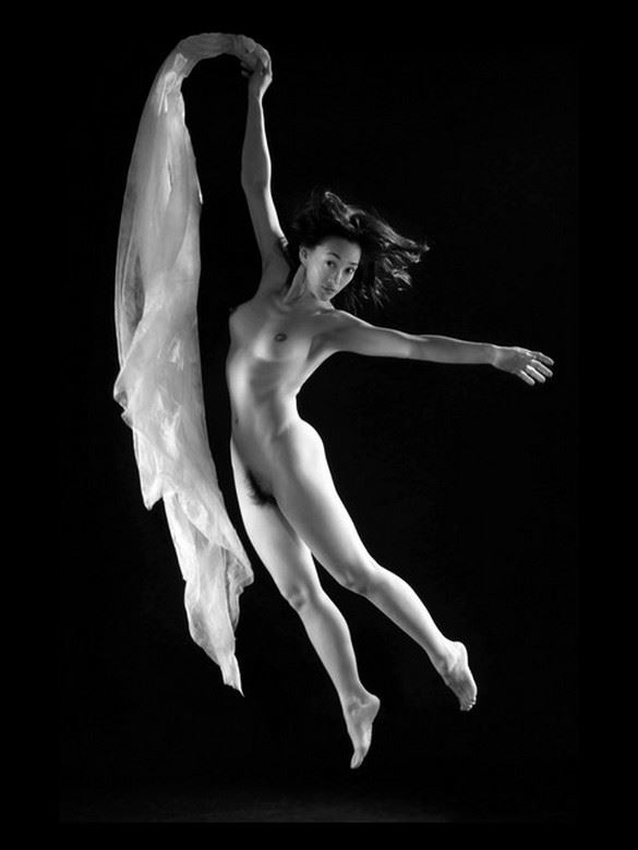 le tulle blanc 7 artistic nude photo by photographer dick