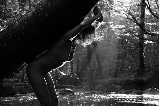 lean on me artistic nude artwork by photographer lene damtoft 