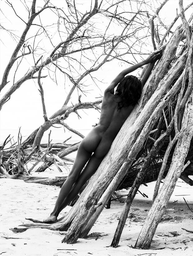 leaning artistic nude photo by photographer luke adam