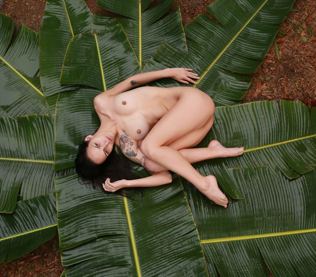 leaves artistic nude photo by photographer chris gursky