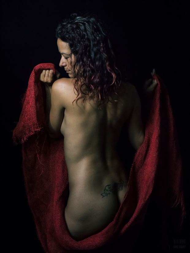 les beaux dos artistic nude photo by photographer visions dt