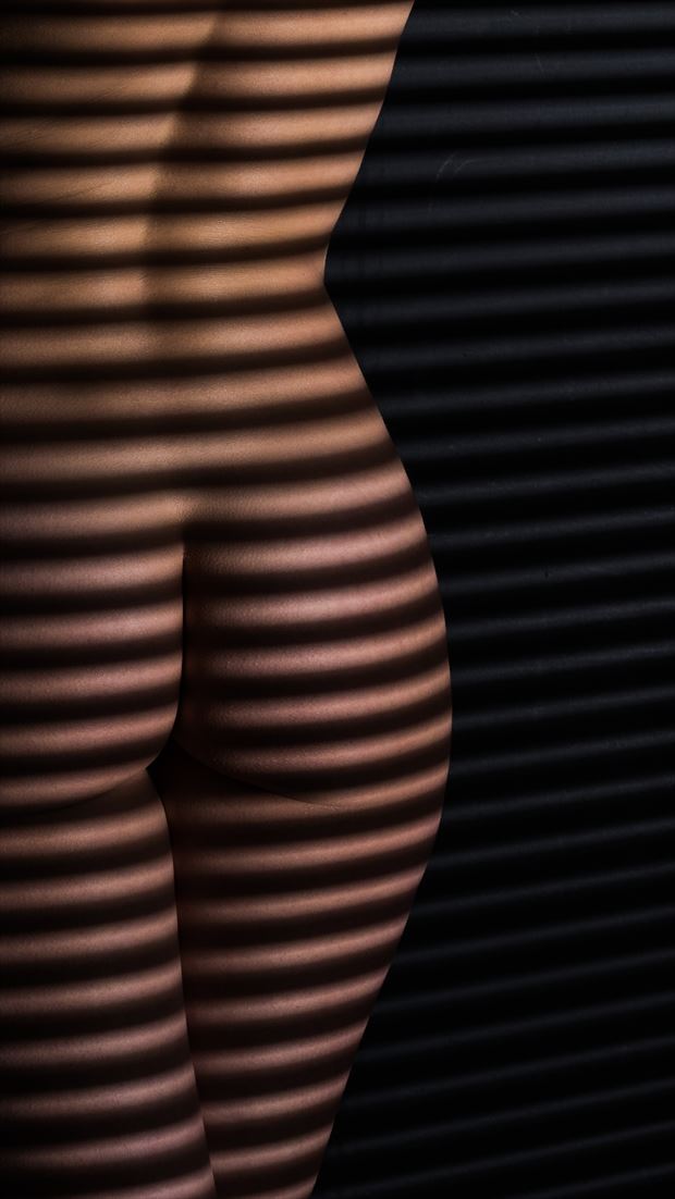 light curves and body curves artistic nude photo by photographer arcis