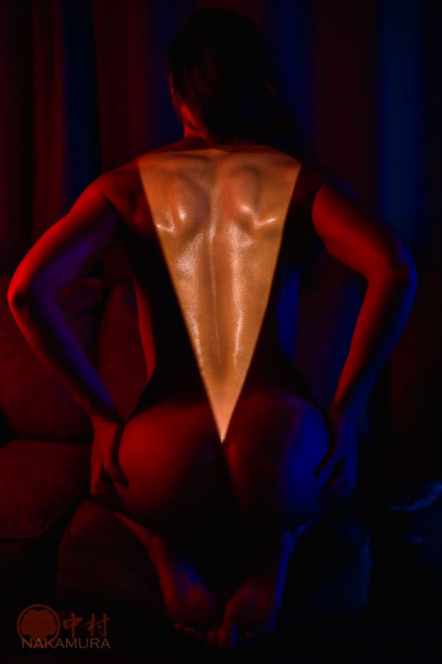 light is the new clothes artistic nude photo by photographer nakamurafoto