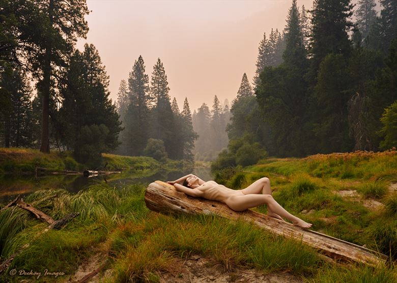 like a log artistic nude photo by photographer deekay images