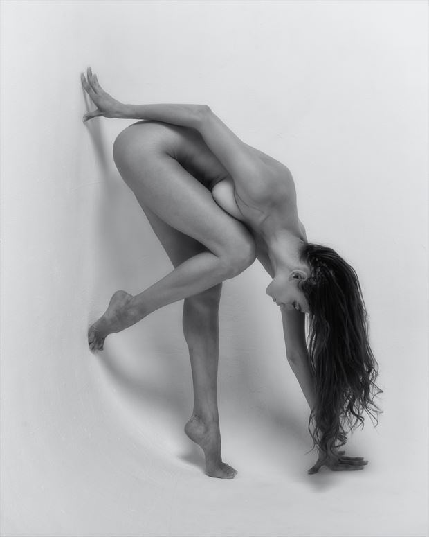 limbs artistic nude photo by photographer randall hobbet