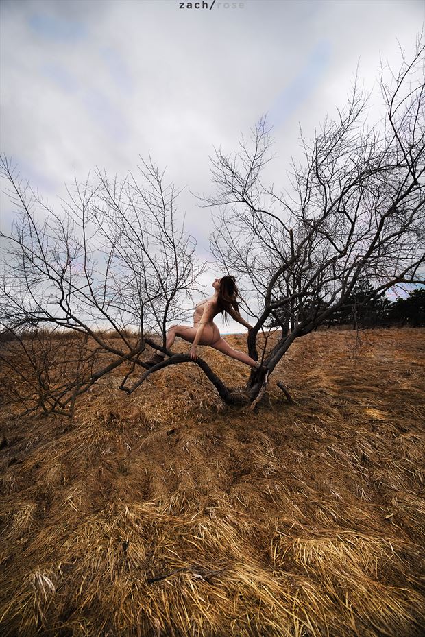 limbs artistic nude photo by photographer zach rose