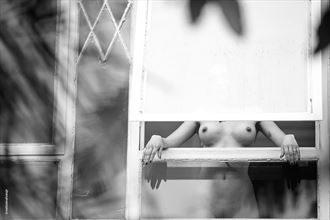 line artistic nude photo by photographer nelson alves jr
