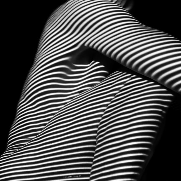 lines all over artistic nude photo by model lars