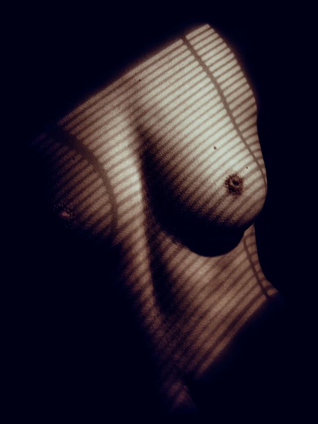 lines and shadows artistic nude photo by photographer robhillphoto