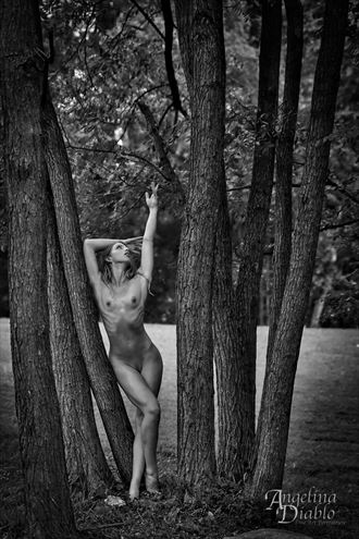lines of a tree iv artistic nude photo by photographer angelina diablo