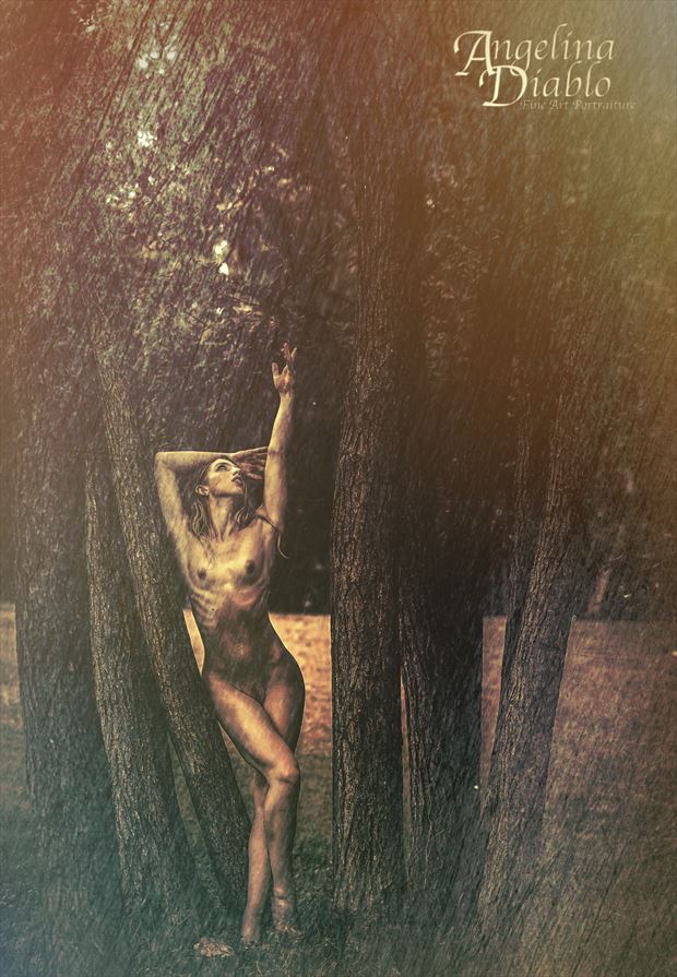 lines of the tree artistic nude photo by photographer angelina diablo