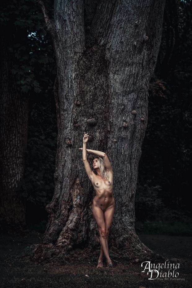 lines of the tree ii artistic nude photo by photographer angelina diablo