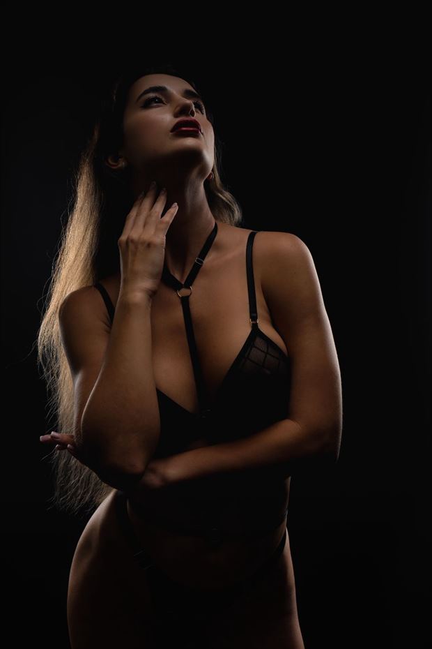 lingerie implied nude artwork by model anna dark