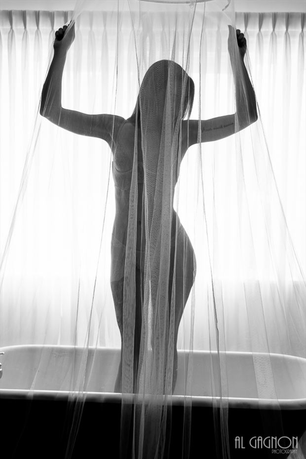 lingerie silhouette artwork by model k ferguson