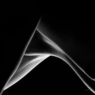 living folds artistic nude photo by photographer musingeye