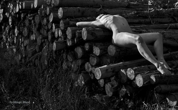 logs artistic nude photo by photographer gibson