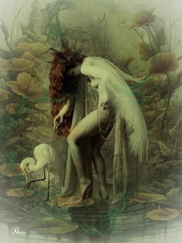 lone egrets artistic nude artwork by artist digital desires