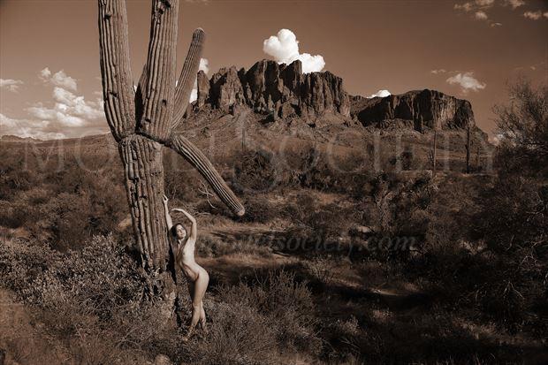 lost dutchman state park az artistic nude photo by photographer ray valentine