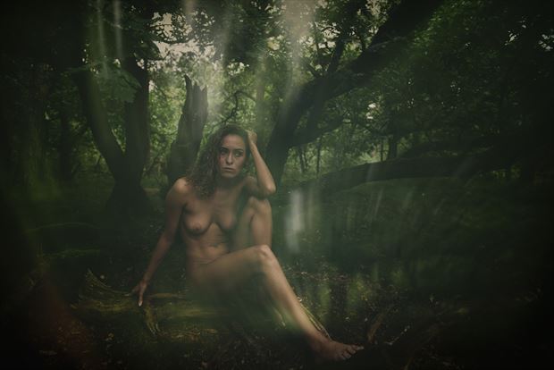 lost in the forest 1 artistic nude photo by photographer henk aalberts photo