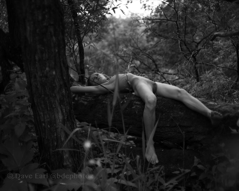 lost in the wild artistic nude photo by photographer dave earl