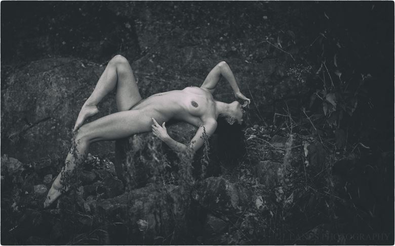 lost in the wilderness artistic nude photo by photographer lanes photography