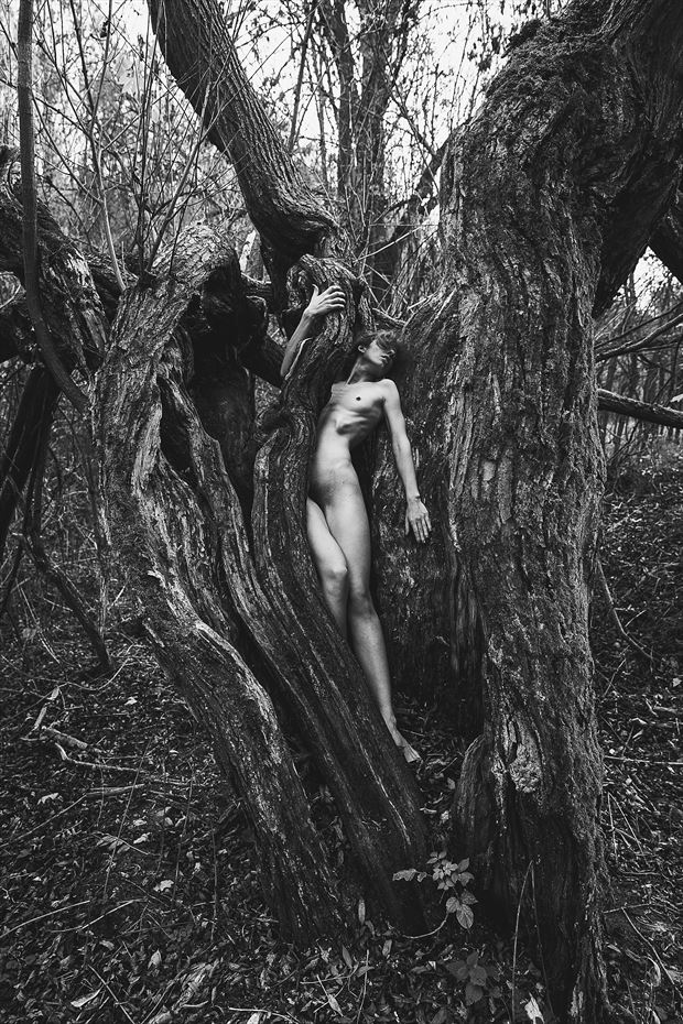 lost in tree artistic nude photo by photographer sk photo