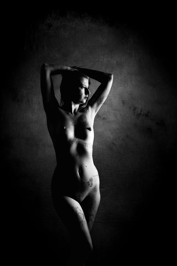 lowkey art nude artistic nude photo by photographer johanc