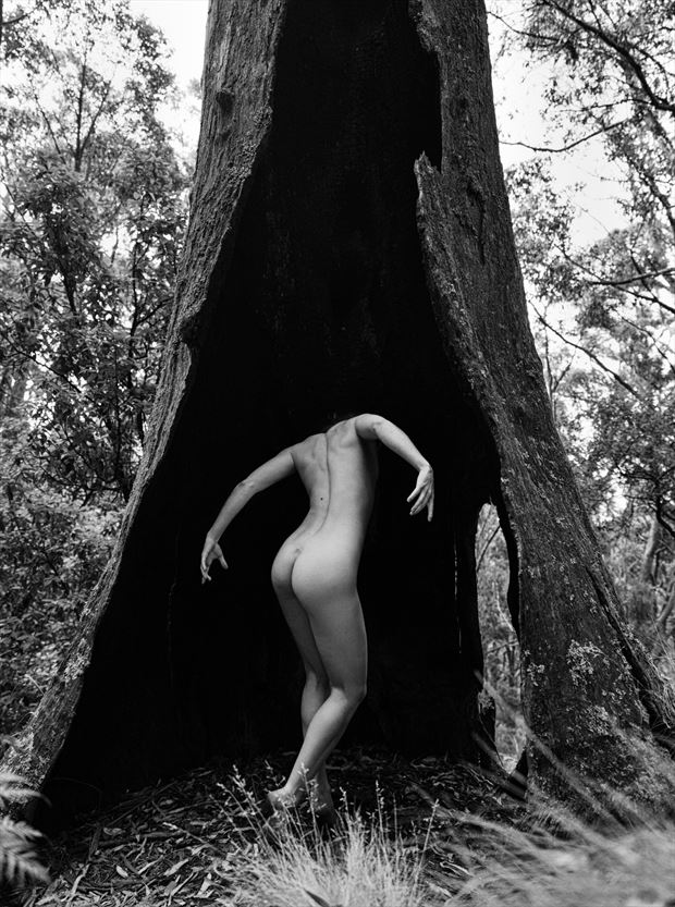 lucy tree artistic nude photo by photographer damian diviny