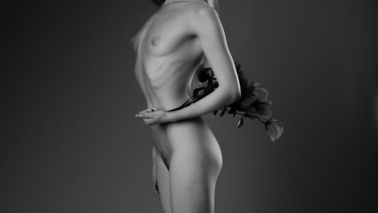 lulu artistic nude photo by photographer andyd10