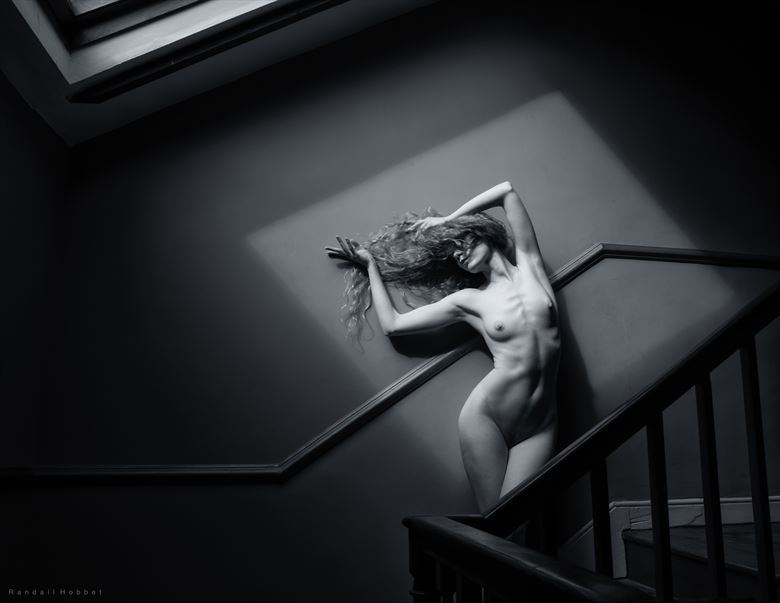 lulu under the skylight artistic nude photo by photographer randall hobbet