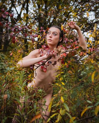 lynn in the woods artistic nude photo by photographer mikewentz