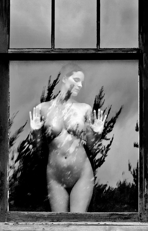 lz34 artistic nude photo by photographer edward holland