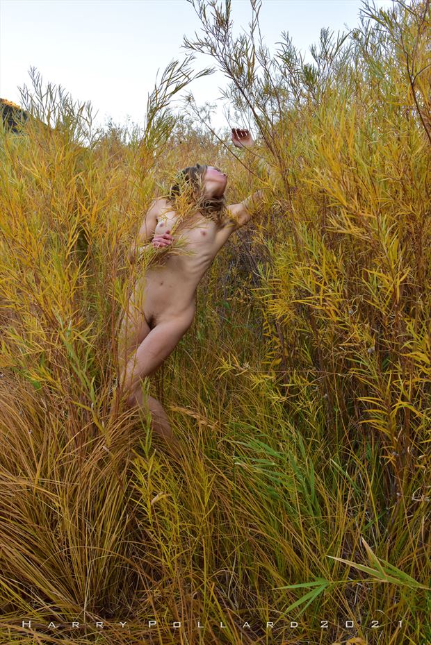 maiden in willows artistic nude photo by photographer shootist
