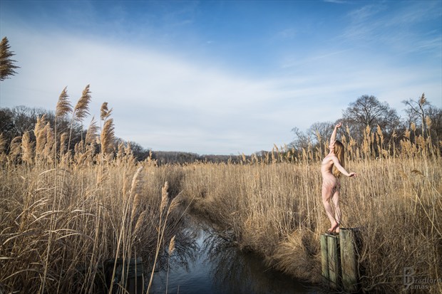 marsh maiden Artistic Nude Photo by Model MaryCeleste