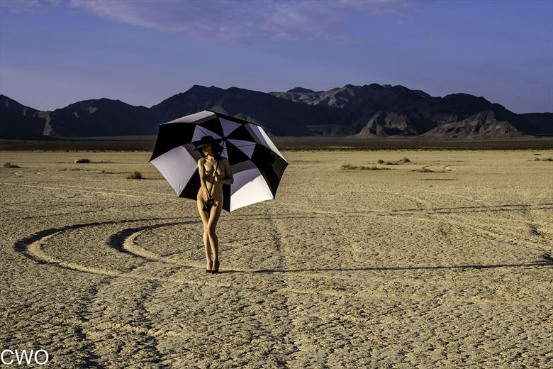 me and my sunbrella artistic nude photo by photographer charterso