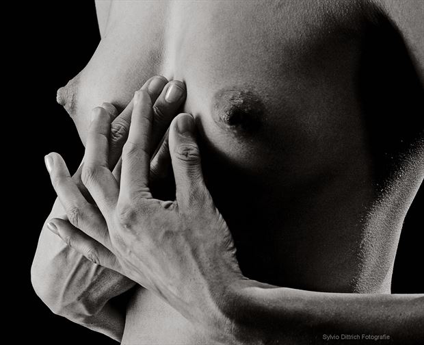 meinherz artistic nude photo by photographer s dittrich