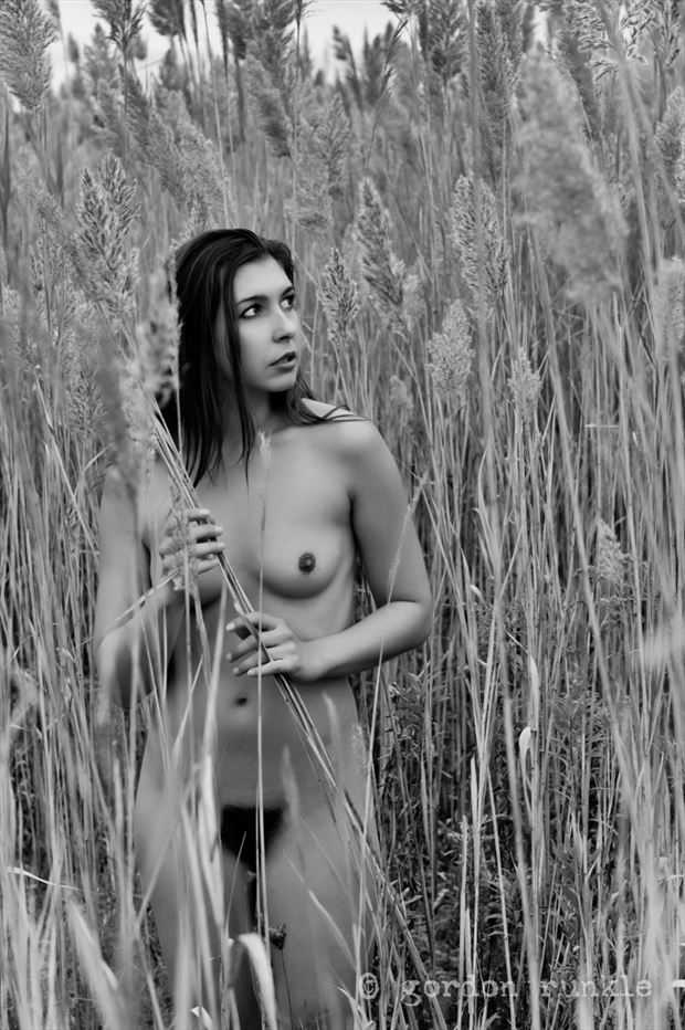 melissa in the tall grass artistic nude photo by photographer gordon runkle