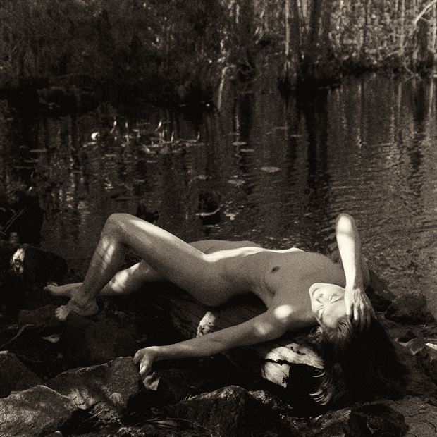 melissa troutt in south carolina swamp artistic nude photo by photographer nostalgia studios