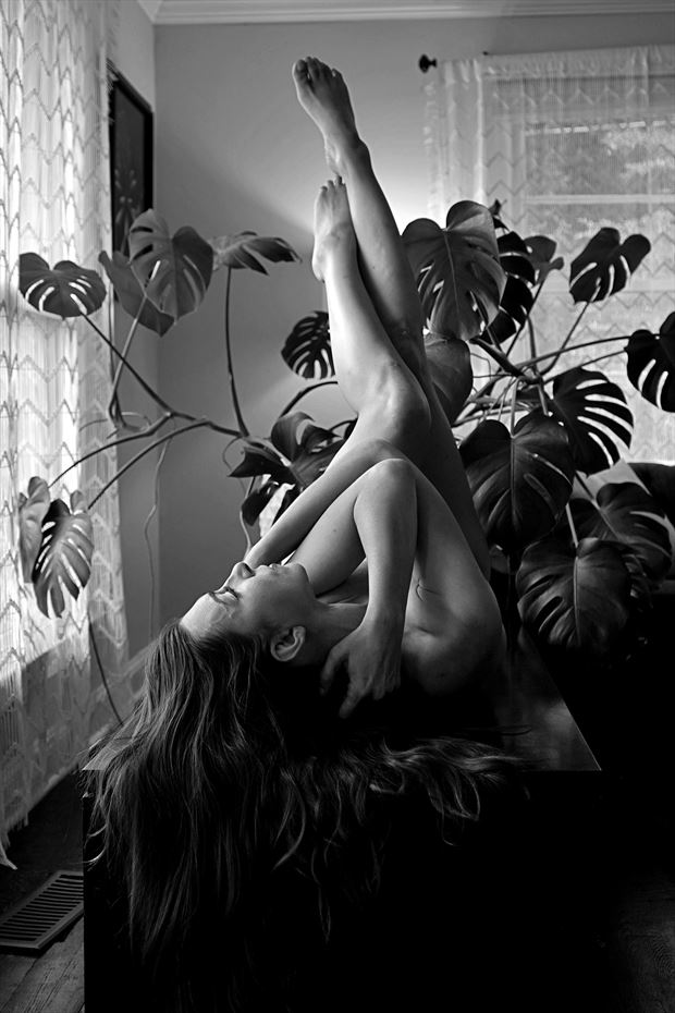 melissa troutt_3273 artistic nude photo by photographer greyroamer photo
