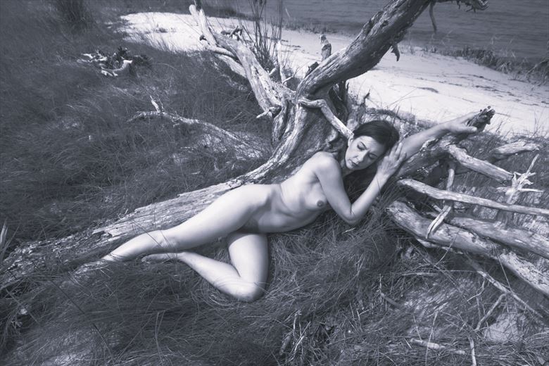 melissa with driftwood artistic nude photo by photographer kayakdude