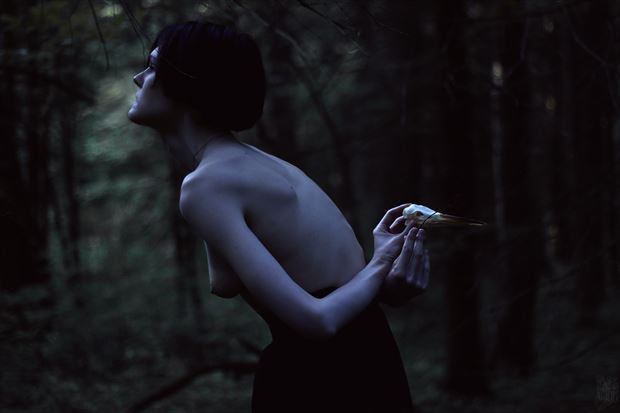 memory turned into a dead bird artistic nude photo by photographer natalie ina