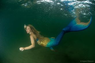 mermaid cosplay photo by photographer lazy diver
