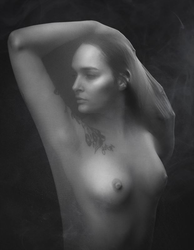 metamorphosis artistic nude artwork by photographer dieter kaupp