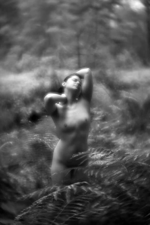 michelle in ferns artistic nude photo by photographer autumnbearphoto