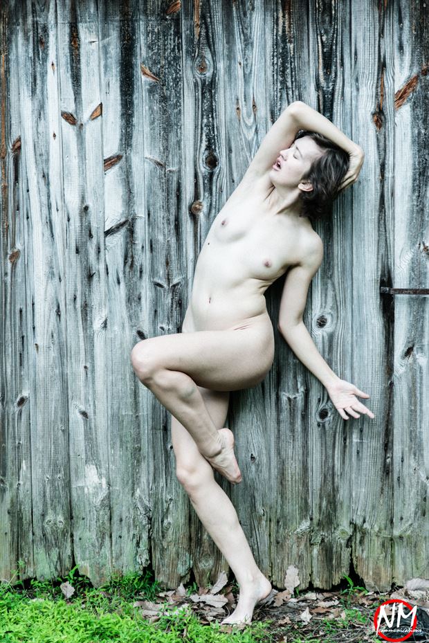 mikki in the woods artistic nude photo by photographer newmedia97