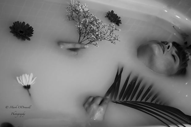 milk bath 1 artistic nude photo by photographer marcus62