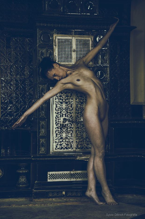 modernes idol artistic nude photo by photographer s dittrich