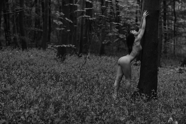 mono bluebells artistic nude photo by photographer gibson